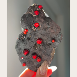 Garnet + Graphite T3