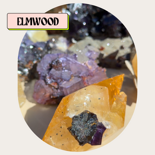 Elmwood