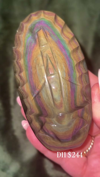 D11