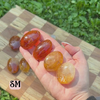 SM